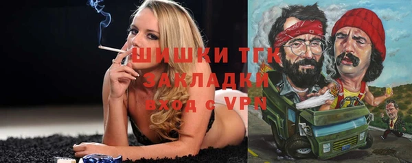 гидра Армянск